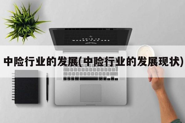 中险行业的发展(中险行业的发展现状)